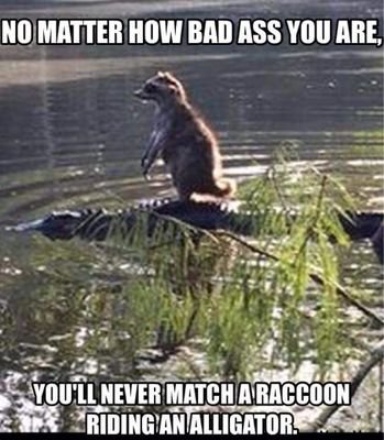ddpy54's profile picture. 