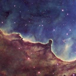 placeholdernam1's profile picture. 