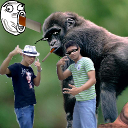 Duplaidiota25's profile picture. 