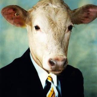 miga_crazy's profile picture. 