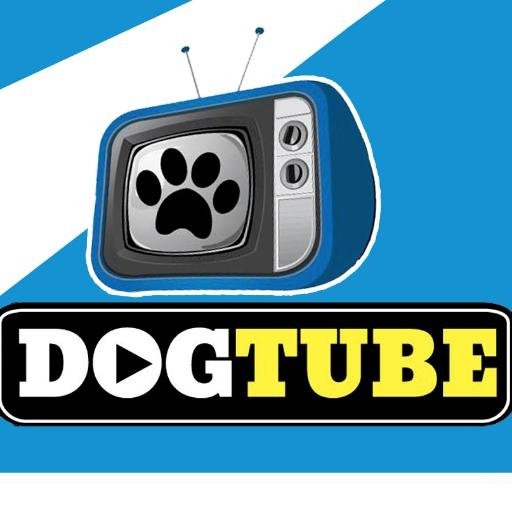 We search the internet for the best dog videos and supply them to your Twitter! http://t.co/OzoKBIYhxW