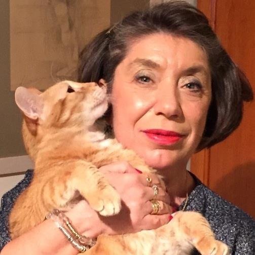 Catisart's profile picture. Δημοσιογράφος