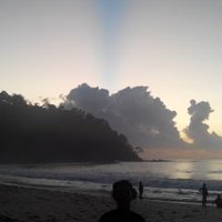 AngelaDaraTunggalP (@prajelital) 's Twitter Profile