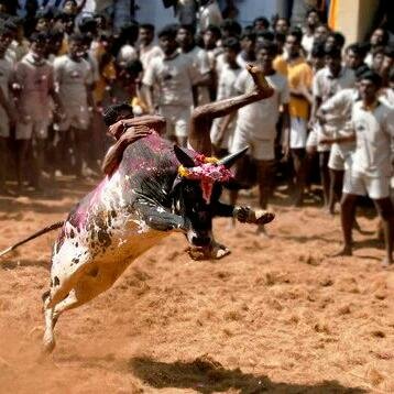 dksuresh4's profile picture. 