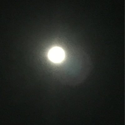 ツイキャスについて語ります。肯定否定したりしますが悪気はありません。好き嫌いの問題なのでお許しください。DMやリプライを時々いただきますが、意識的に返さないようにしています。意味があっての事ですのでご理解してくれると助かりますm(__)mDM・リプライくれた方ありがとうございます！