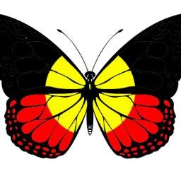 It's all about fighting to save the Awabakal women's Butterfly Cave in NSW, Australia from a housing development. Women's business still matters in 2024!