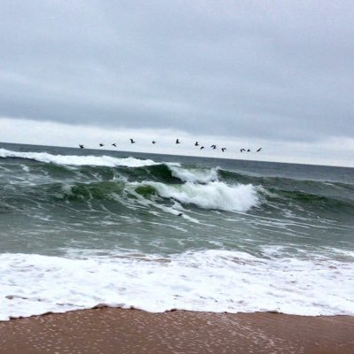 PalmCoastNowFL's profile picture. 