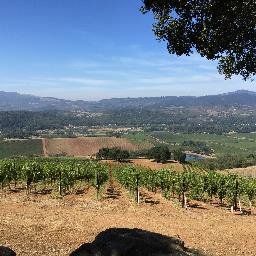 smgasner1's profile picture. 