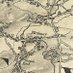 Hornsey Historical Society (@hornseyhistsoc) Twitter profile photo Hornsey Historical Society (@hornseyhistsoc) Twitter profile photo