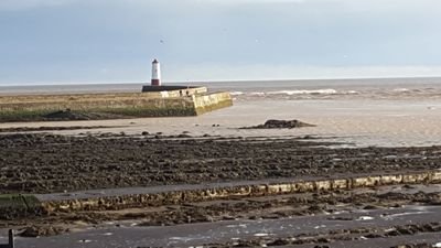 Richard43316354's profile picture. Musician. Public School Ed. Almost retired.