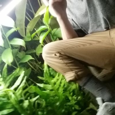 LeMashiMusic's profile picture. I make music