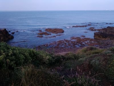 julienstar3's profile picture. petit poney