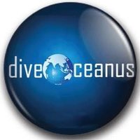 diveOceanus(@diveoceanus) 's Twitter Profileg