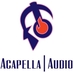 David Schmidt (@acapellaaudio) Twitter profile photo