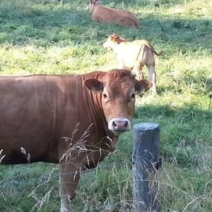 Get Manche menschen sollten sich mal selbst begegnen Free