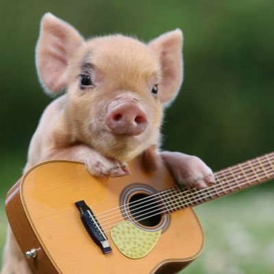 revisionals's profile picture. 