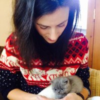 CJScott (@cjshear) 's Twitter Profile