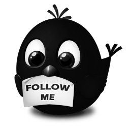 wwkanenari's profile picture. 最近はワードプレスが面白いw