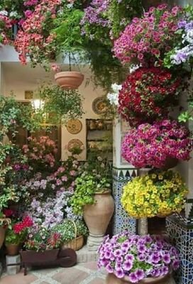 ZainArkin's profile picture. 