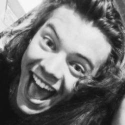 dugmyhearths's profile picture. @goldenboys