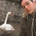 a (@mykhalchevskyy) Twitter profile photo a (@mykhalchevskyy) Twitter profile photo