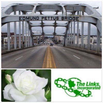 selmalinksinc's profile picture. The Selma Chapter of the Links, Inc. is a group of accomplished and dedicated women committed to serving Selma and our Worldwide Community.#FriendshipandService