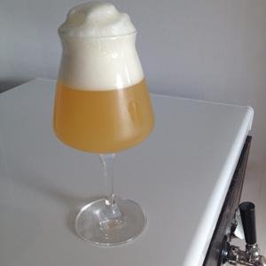 BeerBlogFeed's profile picture. A Twitter feed of posts from the beer blog feed, which consists of the latest content from all of the 200+ top beer blogs via @scottjanish