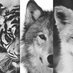 vampiers.. rock █■█ (@deerwood890lynn) Twitter profile photo vampiers.. rock █■█ (@deerwood890lynn) Twitter profile photo
