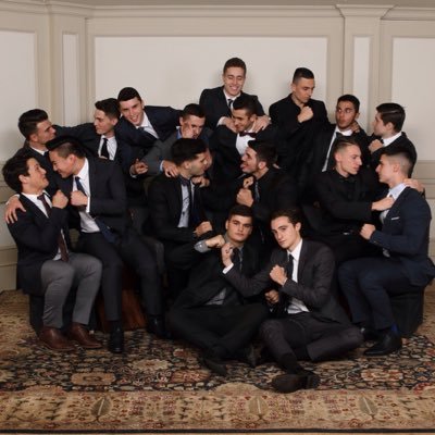 mvisintin13's profile picture. 