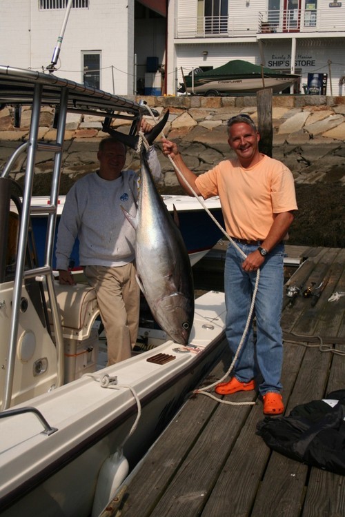 Dad, husband, catcher of big fish, bad golfer, good skier, swimmer, purveyor of active intelligence.