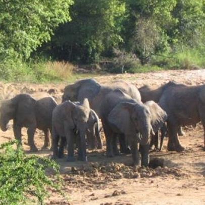 YoMeAbstengo's profile picture. Vivo y dejo vivir. Si no me lo creo, paso. No votando expreso lo que siento. Pero lo que siento no le interesa a nadie, paso.