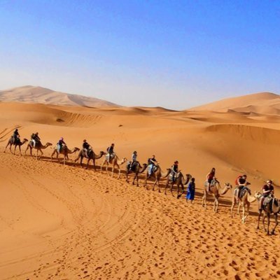 Thrill of Morocco is a travel agency that offers customized luxury Morocco private tours and excursions. Our Morocco tours are tailor-made for families, couple,
