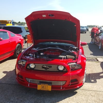 Stang Gang New York the premier Ford Mustang car club located in Brooklyn, New York. We are the only Regional charter of Mustang Club of America in Brooklyn