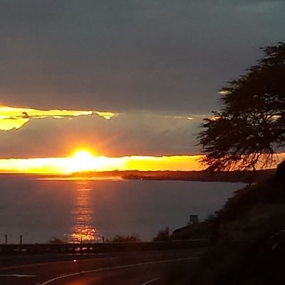 Michael8642131's profile picture. 