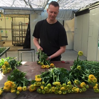 #Delphinium and #Ranunculus grower #dutchflowers. #Quality is the main priority - https://t.co/prSiGVUdbl
