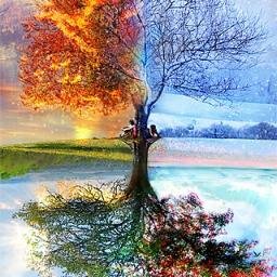 MsMolloy1's profile picture. 