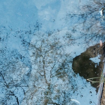 SpainBieber94's profile picture. 28; ''Happiness can be found even in the darkest of times, if one only remembers to turn on the light''