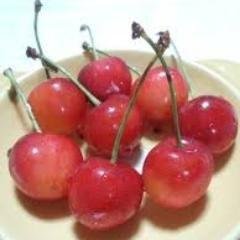 dsaoisd's profile picture. 