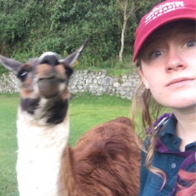 molly_banta's profile picture. some of my former employers include the @dscc, @ossoff, @lizziepfletcher, @debrarodmanVA, @kathykltran, @hfa, @chrismurphyCT, @washu 👍