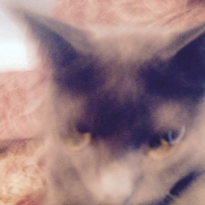 EonTrainor's profile picture. lol im not Eon😈