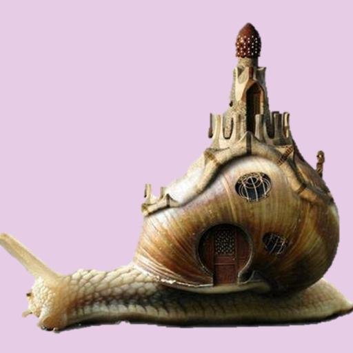 PepaAresMillan's profile picture. Siempre con la casa a cuestas y caminando despacio, a la cumbre va llegando.