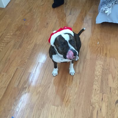 SwEl16's profile picture. god fearing gun loving read blooded American