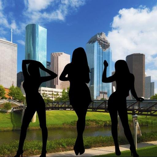 Finding and revealing the most impressionable people in the city of Houston, for professional endeavors.