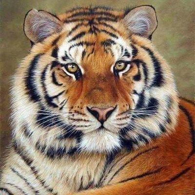 aldinaputr1969's profile picture. 