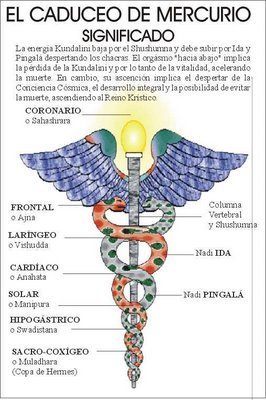 CADUCEOMERCURIO's profile picture. 