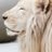cher6119's avatar
