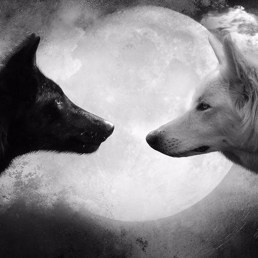 Alpha200000's profile picture. 