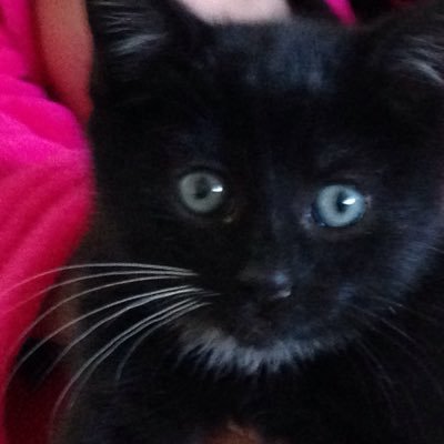 CullinanRory's profile picture. 