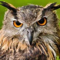 GenD (@gendakov) 's Twitter Profile