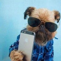 Vladino (@vladino_) 's Twitter Profile Photo